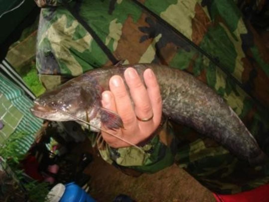 Рыбалка, База отдыха Остров Уходово