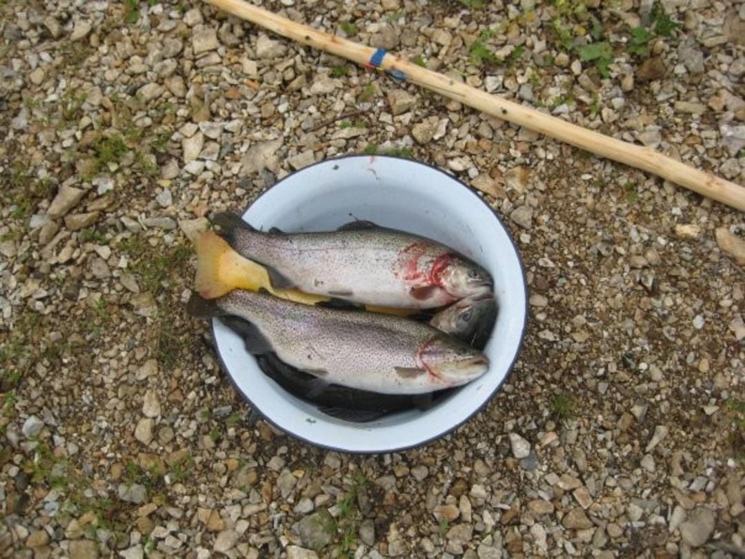 Рыбалка, База отдыха Царская рыбалка