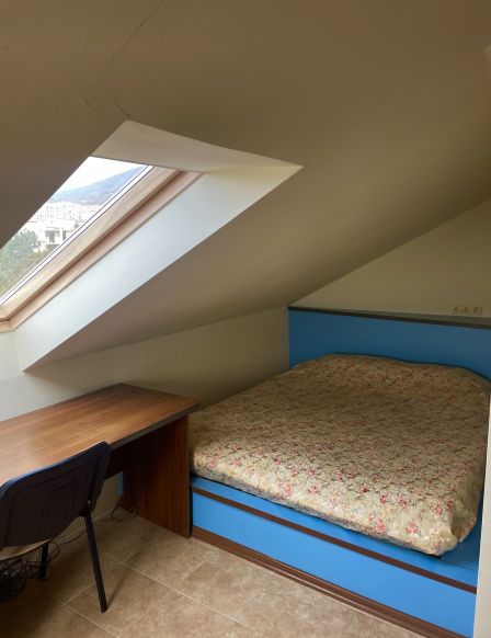 Фотография номера гостиницы Отель Дримлэнд