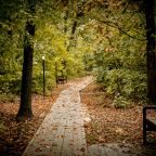 Своя ухоженная территория, База отдыха Дружба