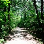 Своя ухоженная территория, База отдыха Дружба