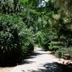 Своя ухоженная территория, База отдыха Дружба