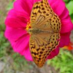 Своя ухоженная территория, База отдыха Дружба