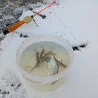 Рыбалка, База отдыха Дружба