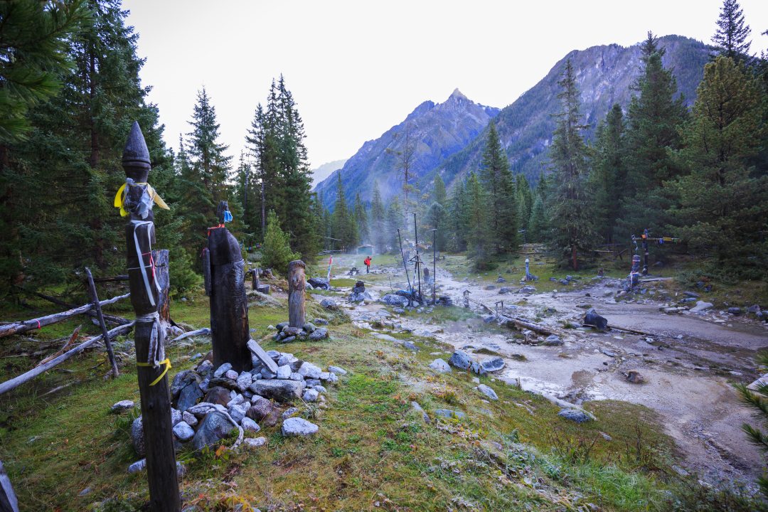 Шумак фото в хорошем качестве