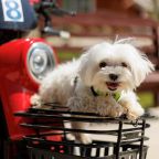 Двухместный (Комфорт), Загородный отель Кумуткан