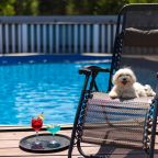 Бассейн, Загородный отель Кумуткан