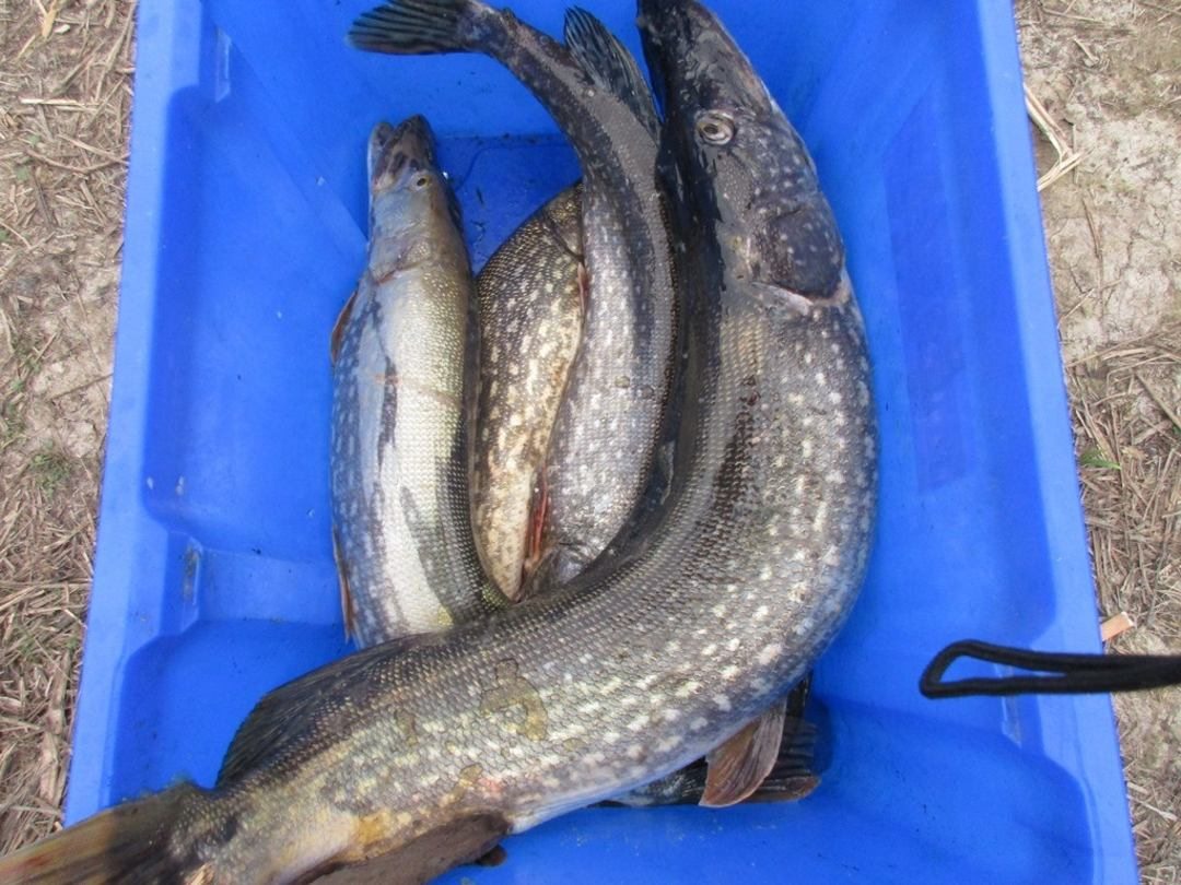 Рыбалка, Рыболовно-охотничья база Фишинг Холл