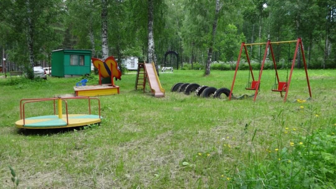 Детская площадка, База отдыха Сибирский виноград