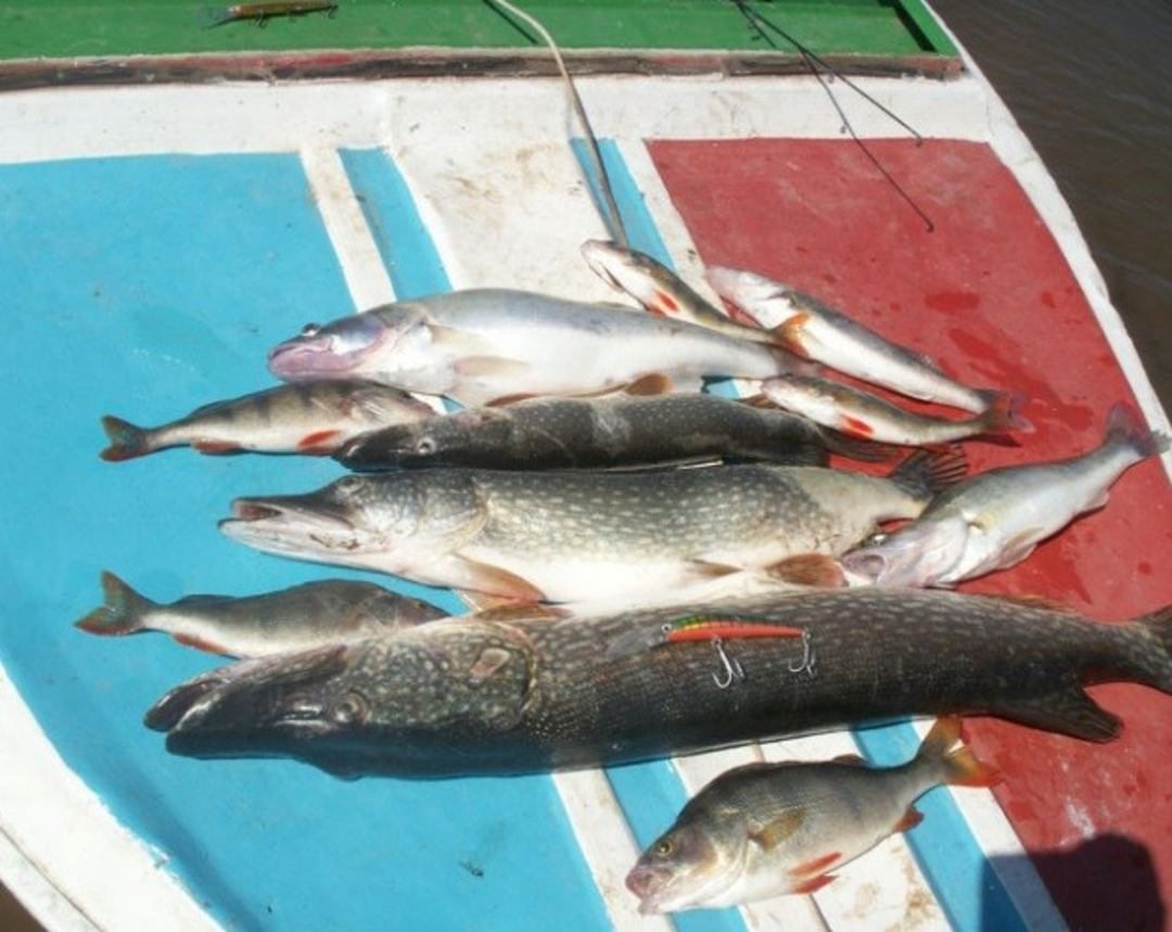 Рыбалка, Рыболовно-охотничья база Рыбалка-Лайф