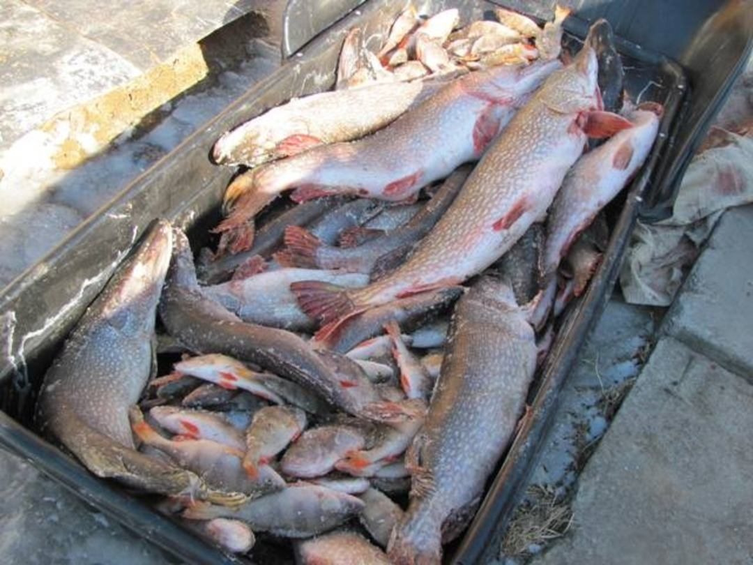 Рыбалка, База отдыха Сибирская кадриль