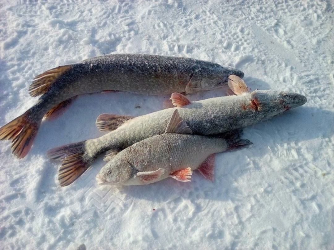Рыбалка, Рыболовно-охотничья база Водники