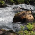 Номер (Дом для отпуска), Дом в Красной Поляне