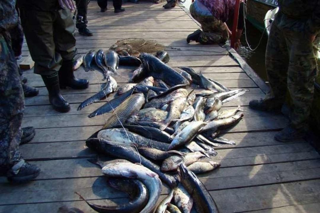 Рыбалка, Рыболовная база Дельта Трофи