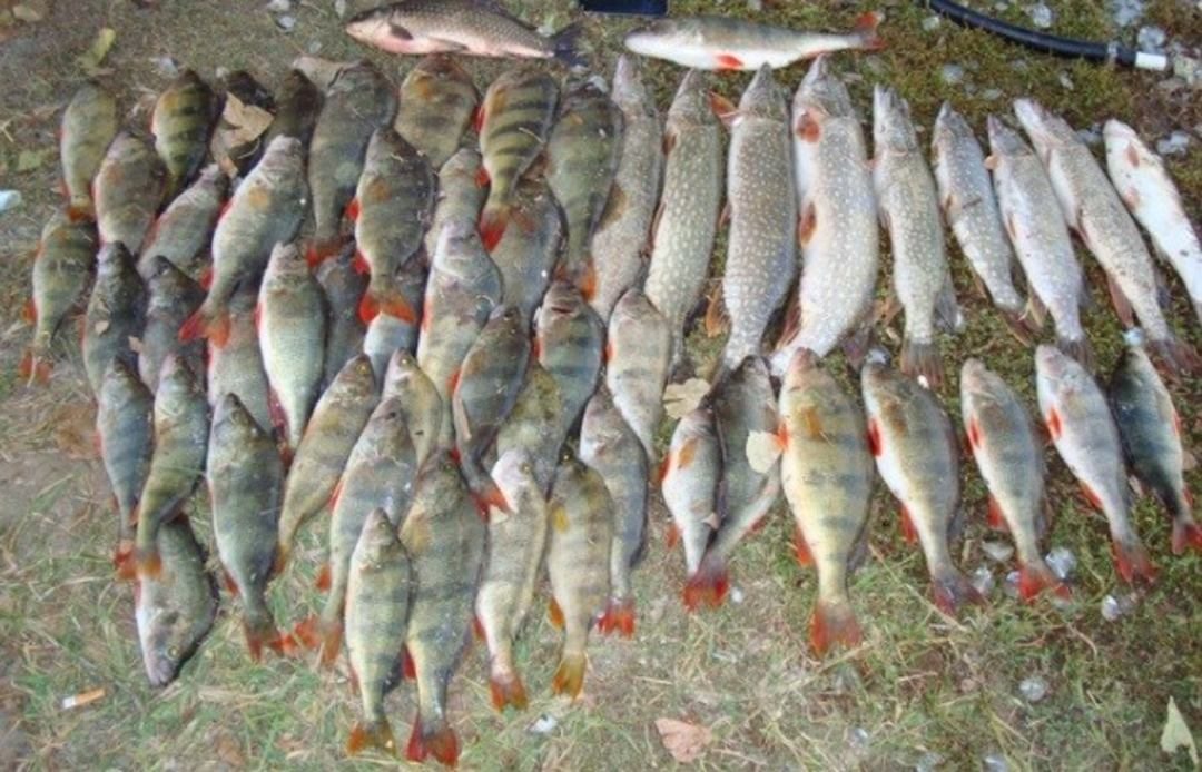 Рыбалка, Рыболовная база Бакланенок