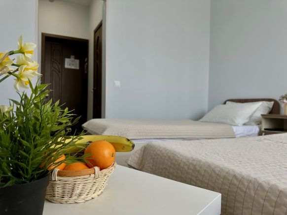 Фотография номера гостиницы Орион