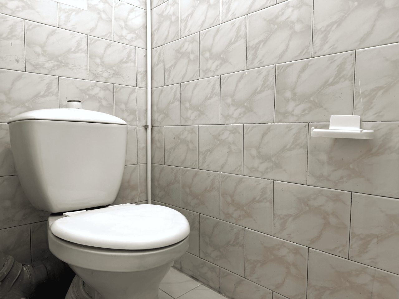 Раздельный с/у