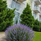 Бар / Ресторан, Гостевой дом Парадиз (Paradise Resort)