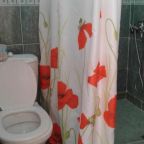 Двухместный (Двухместный номер с 1 кроватью), Гостиница Волгарь