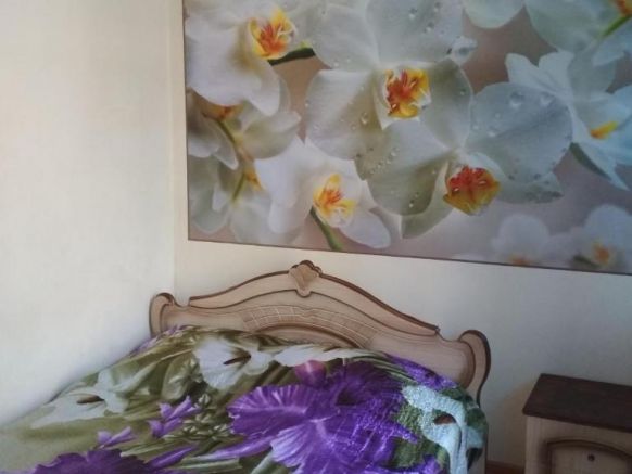 Фотография номера гостевого дома Зеленые фонарики