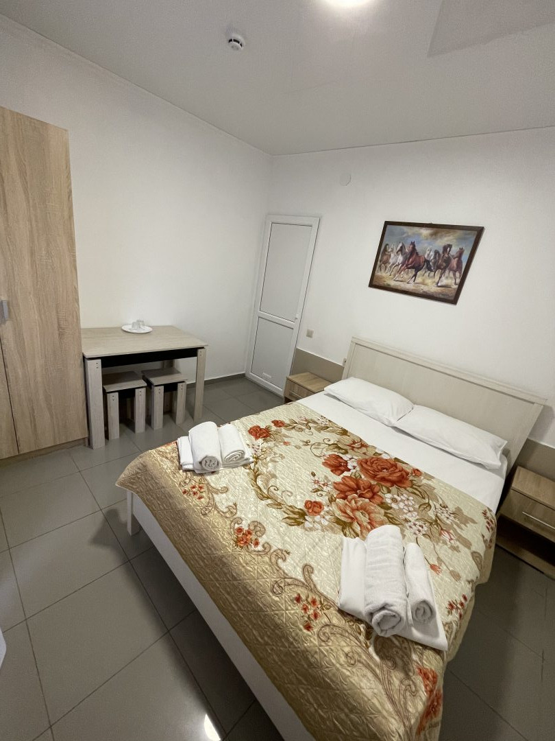 Двухместный (Стандартный двухместный номер с 1 кроватью) гостевого дома Кристина на Таврической, Сириус