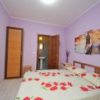Двухместный (Бюджетный двухместный номер с 1 кроватью), Гостевой дом Лариса