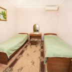 Двухместный (Двухместный номер с 1 кроватью или 2 отдельными кроватями), Мини-отель Юна