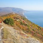 Семейный (Семейный номер), Гостевой дом Саника