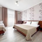 Полулюкс (С террасой и видом на реку), Гостевой дом Ренессанс