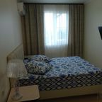 Двухместный (Стандартный двухместный номер с 1 кроватью или 2 отдельными кроватями), Гостевой дом Светлана