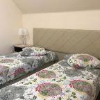 Двухместный (Стандартный двухместный номер с 1 кроватью или 2 отдельными кроватями), Гостевой дом Светлана