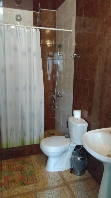 Двухместный (Двухместный номер с 2 отдельными кроватями), Гостевой дом Гранат