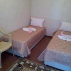 Двухместный (Двухместный номер с 1 кроватью или 2 отдельными кроватями), Гостевой дом Гранат