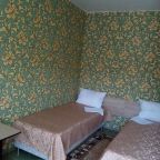 Двухместный (Двухместный номер с 1 кроватью или 2 отдельными кроватями), Гостевой дом Гранат