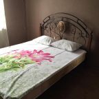 Двухместный (Двухместный номер Делюкс с 1 кроватью или 2 отдельными кроватями), Гостевой дом Ирина