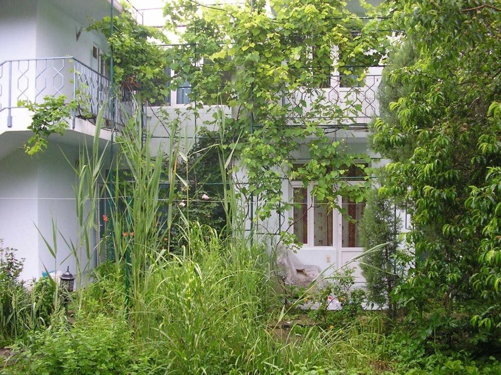 Дома с внутренним двориком (45 фото)