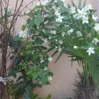 Трехместный (Стандартный трехместный номер), Отель Семейный Отдых 2