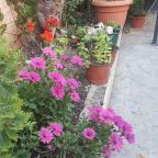 Трехместный (Стандартный трехместный номер), Отель Семейный Отдых 2