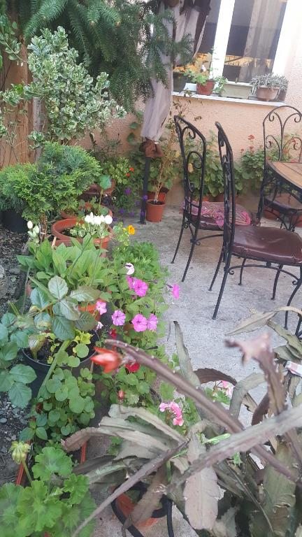 Двухместный (Бюджетный двухместный номер с 1 кроватью), Отель Семейный Отдых 2