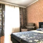 Двухместный (Стандартный двухместный номер с 1 кроватью или 2 отдельными кроватями), Мини-гостиница Тихая гавань