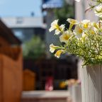 Своя ухоженная территория, Отель Village House