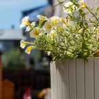 Своя ухоженная территория, Отель Village House