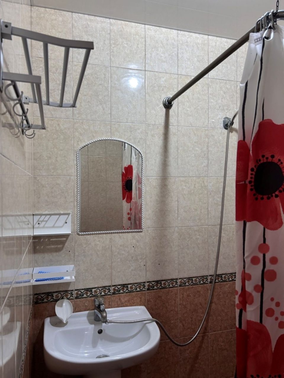 В номере есть душ и туалет,туалетная бумага предоставляется
