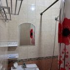 В номере есть душ и туалет,туалетная бумага предоставляется
