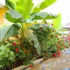 Трехместный (Классический трехместный номер), Гостевой дом VillAmore