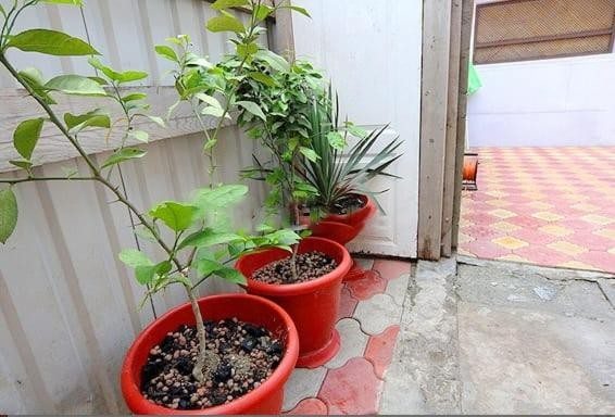 Трехместный (Классический трехместный номер), Гостевой дом VillAmore