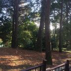 Трехместный (Классический трехместный номер), Гостевой дом VillAmore