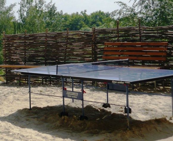 Настольный теннис, База отдыха Берёзовая роща