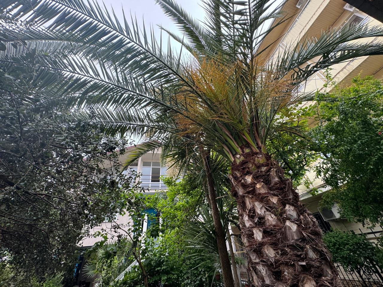 De Luxe (Delux с балконом), Гостевой дом Лавра