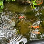 De Luxe (De Luxe), Гостевой дом Лавра